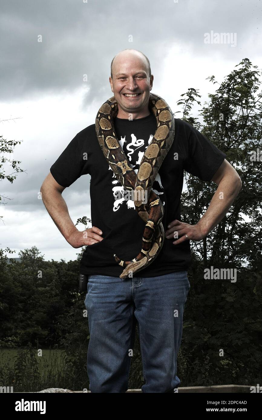 GRANDE-BRETAGNE / Angleterre /Dartmoor/Dartmoor Zoo Director Benjamin Mee avec Red Start Boa appelé Kevin. Banque D'Images