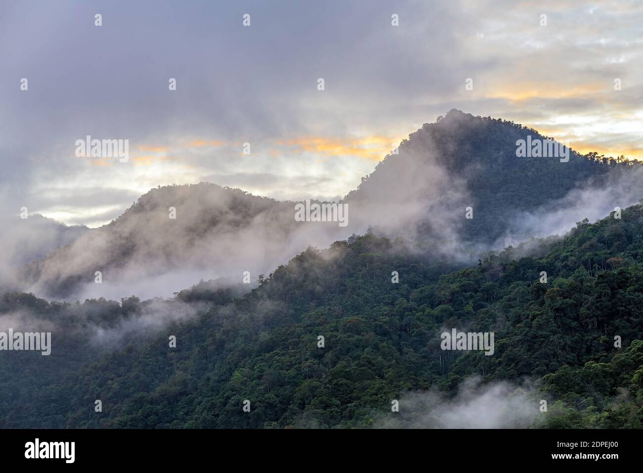 Paysage de lever de soleil dans la forêt nuageuse de Mindo, Equateur. Banque D'Images