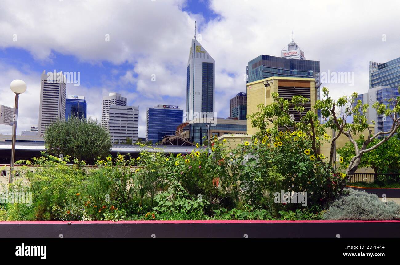 Jardin d'herbes et de fleurs sur le toit, au milieu des gratte-ciel de la ville du quartier des affaires de Perth, en Australie occidentale. Pas de PR Banque D'Images