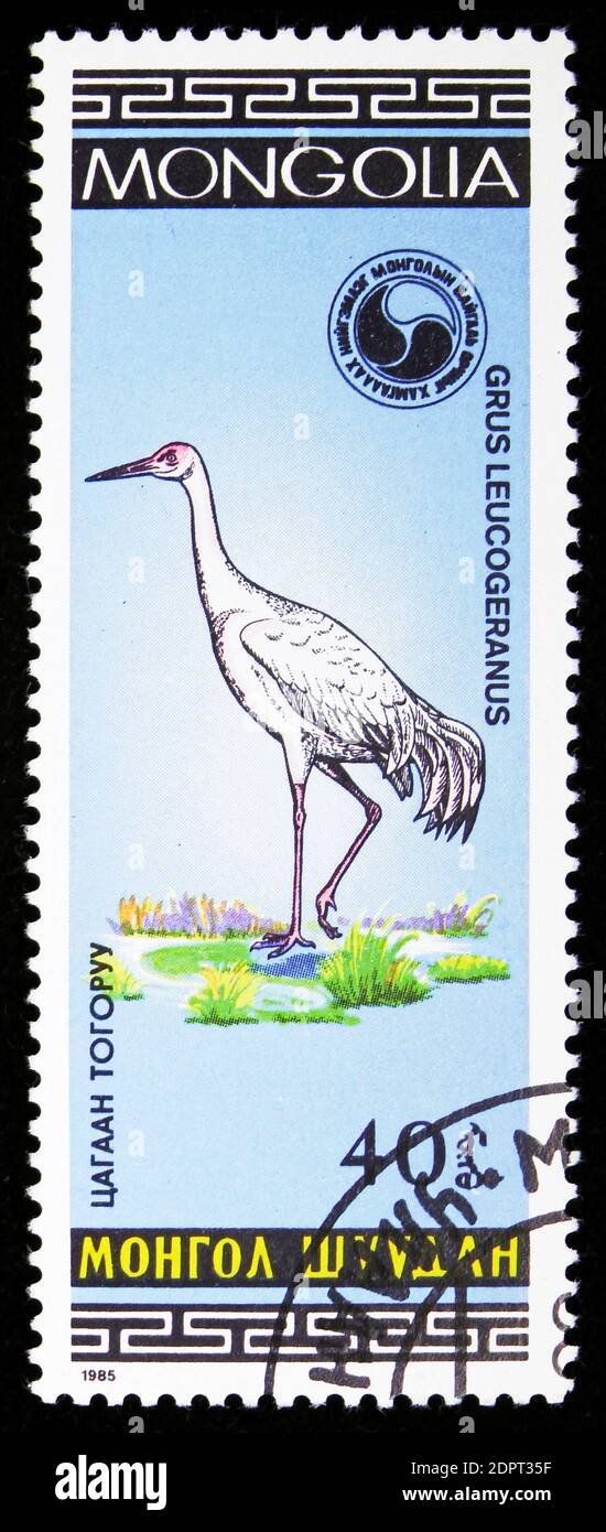 MOSCOU, RUSSIE - 26 SEPTEMBRE 2018 : un timbre imprimé en Mongolie montre la grue de Sibérie (Grus leucogeranus), série d'oiseaux, vers 1985 Banque D'Images