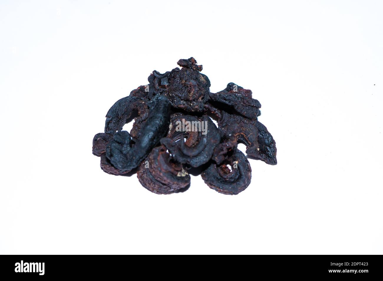 Tamarin sec traditionnel sri-lankais Banque D'Images