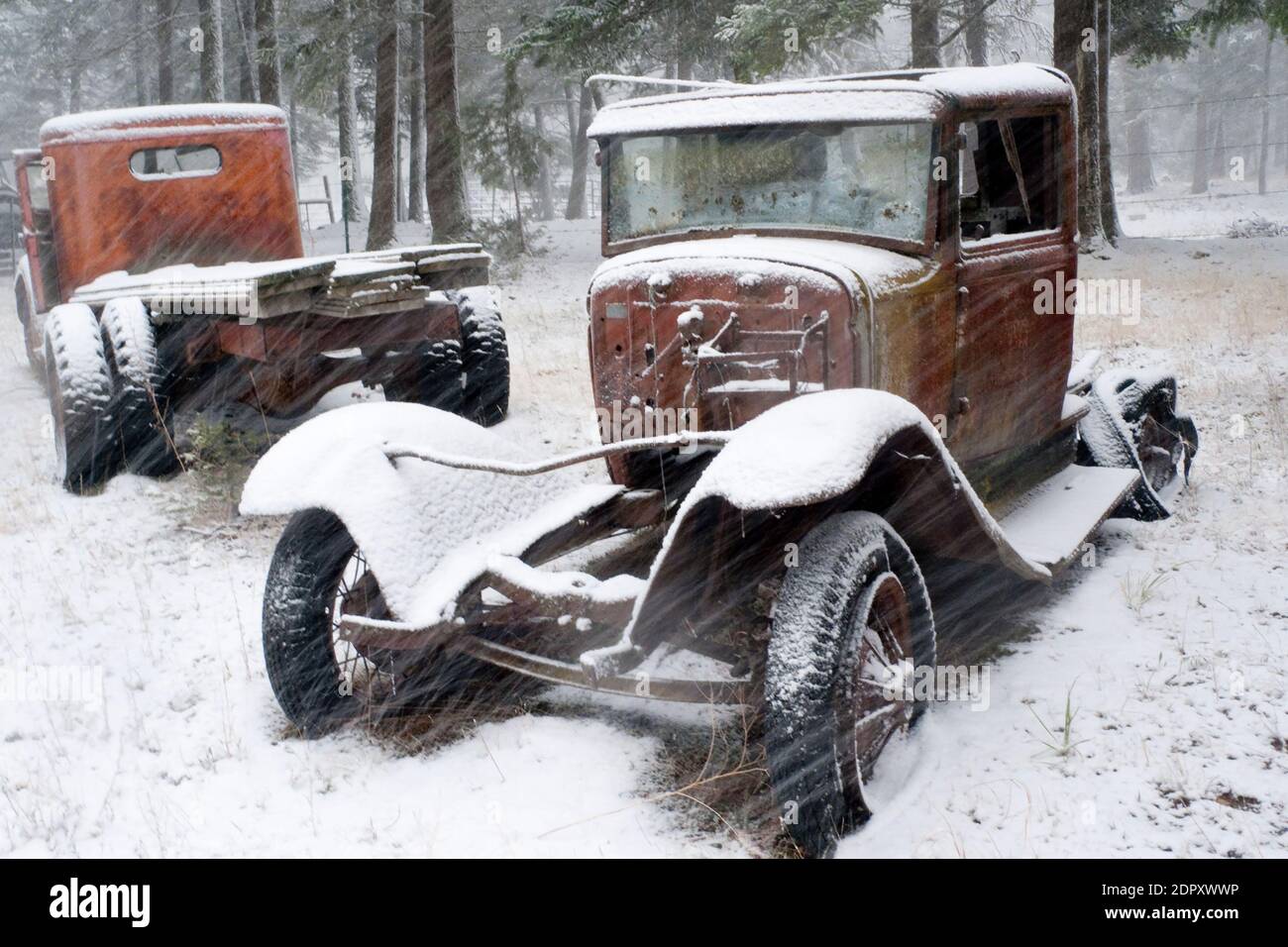 Un camion de ferme Ford 1932 modèle B rouillé dans une tempête de neige, sur un ranch à cheval dans la vallée de la Lune, Rock Creek, Montana. Banque D'Images