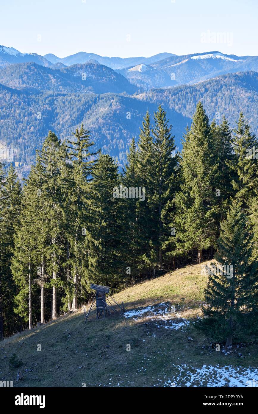 Stand de Hunter avec arbres et montagnes en arrière-plan Banque D'Images