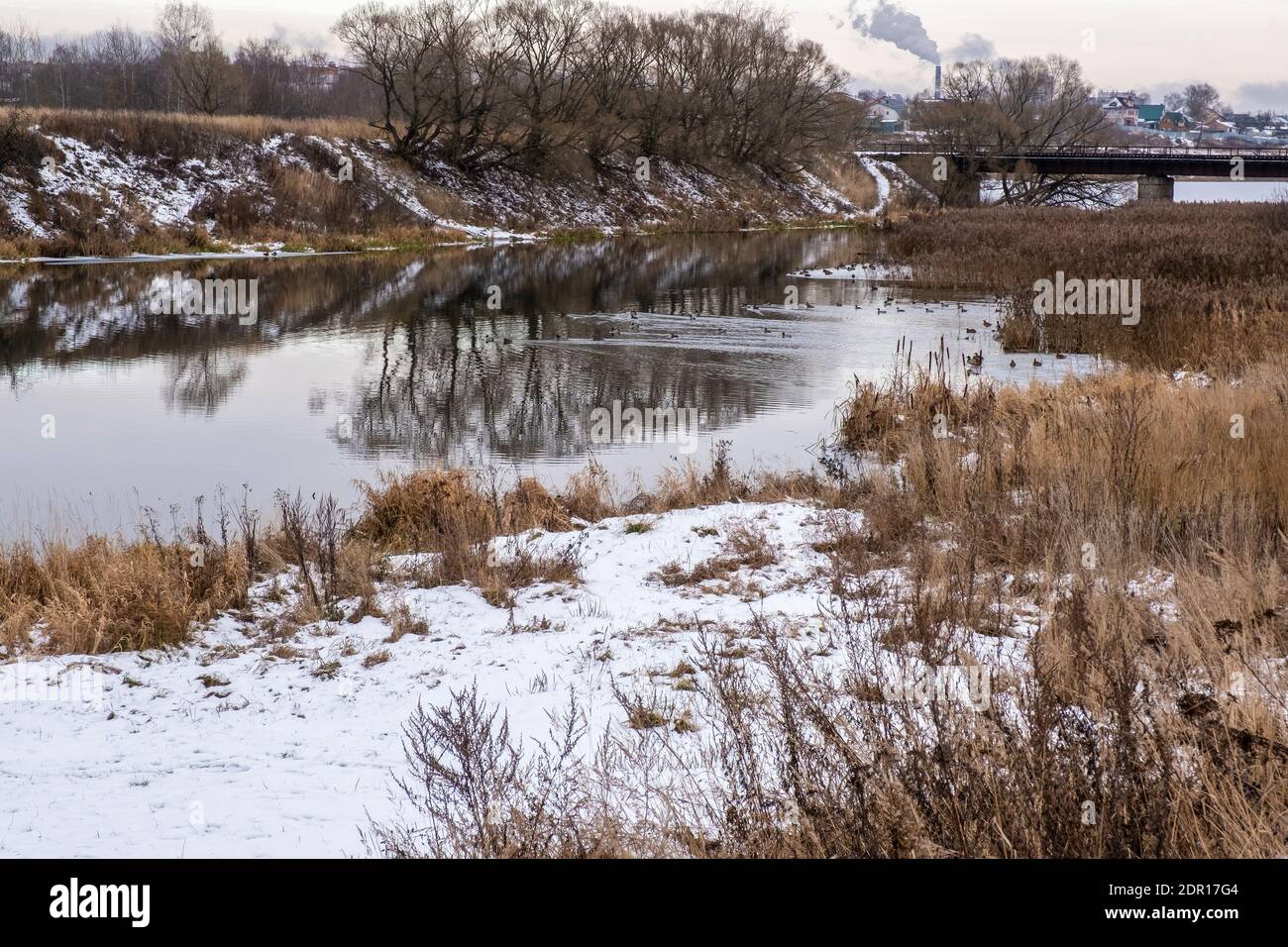 Canards flottants sur la rivière Uvod lors d'un ciel nuageux jour d'automne, Ivanovo, Russie. Banque D'Images