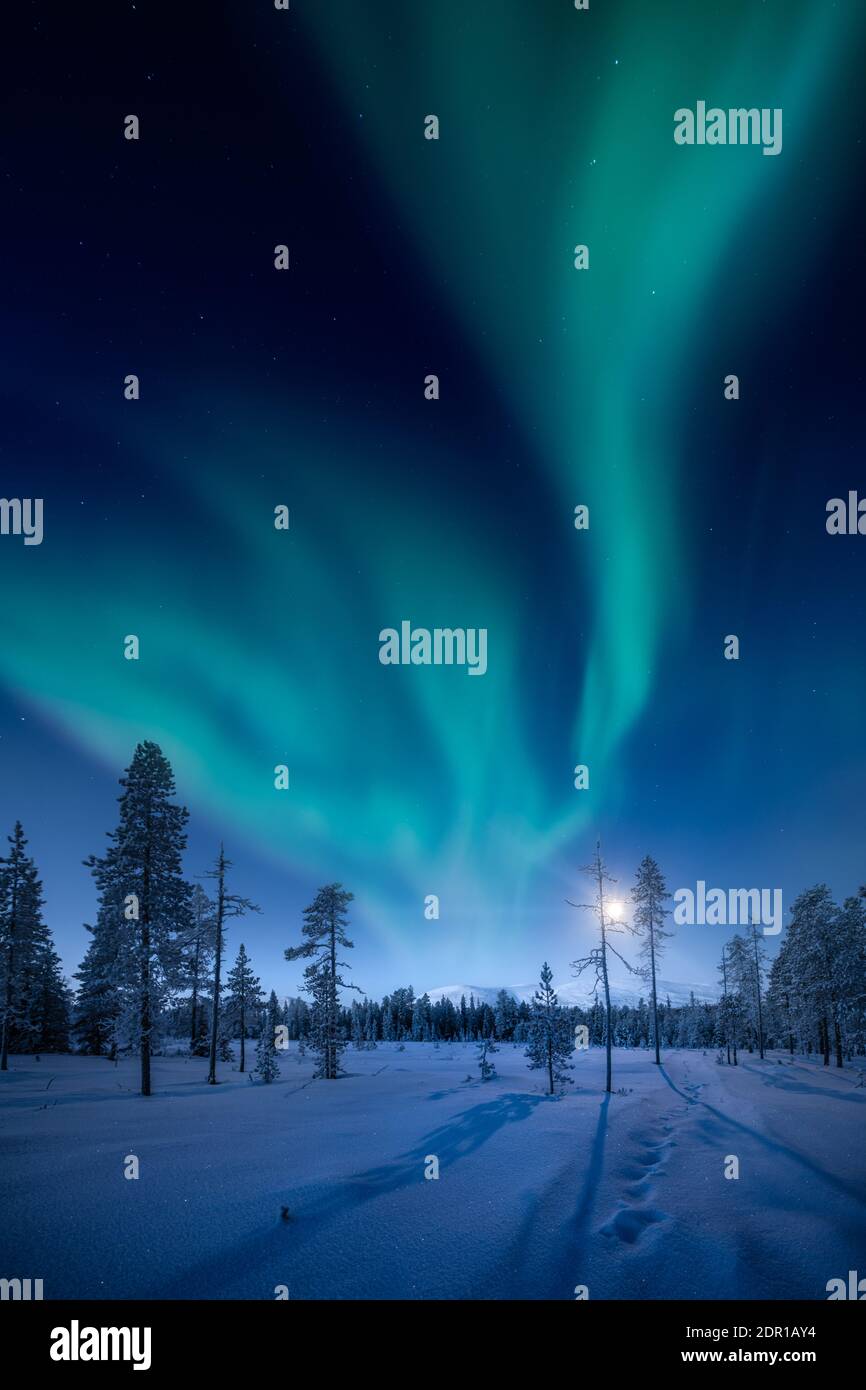Vue à angle bas de l'Aurora Borealis sur un paysage couvert de neige la  nuit Photo Stock - Alamy