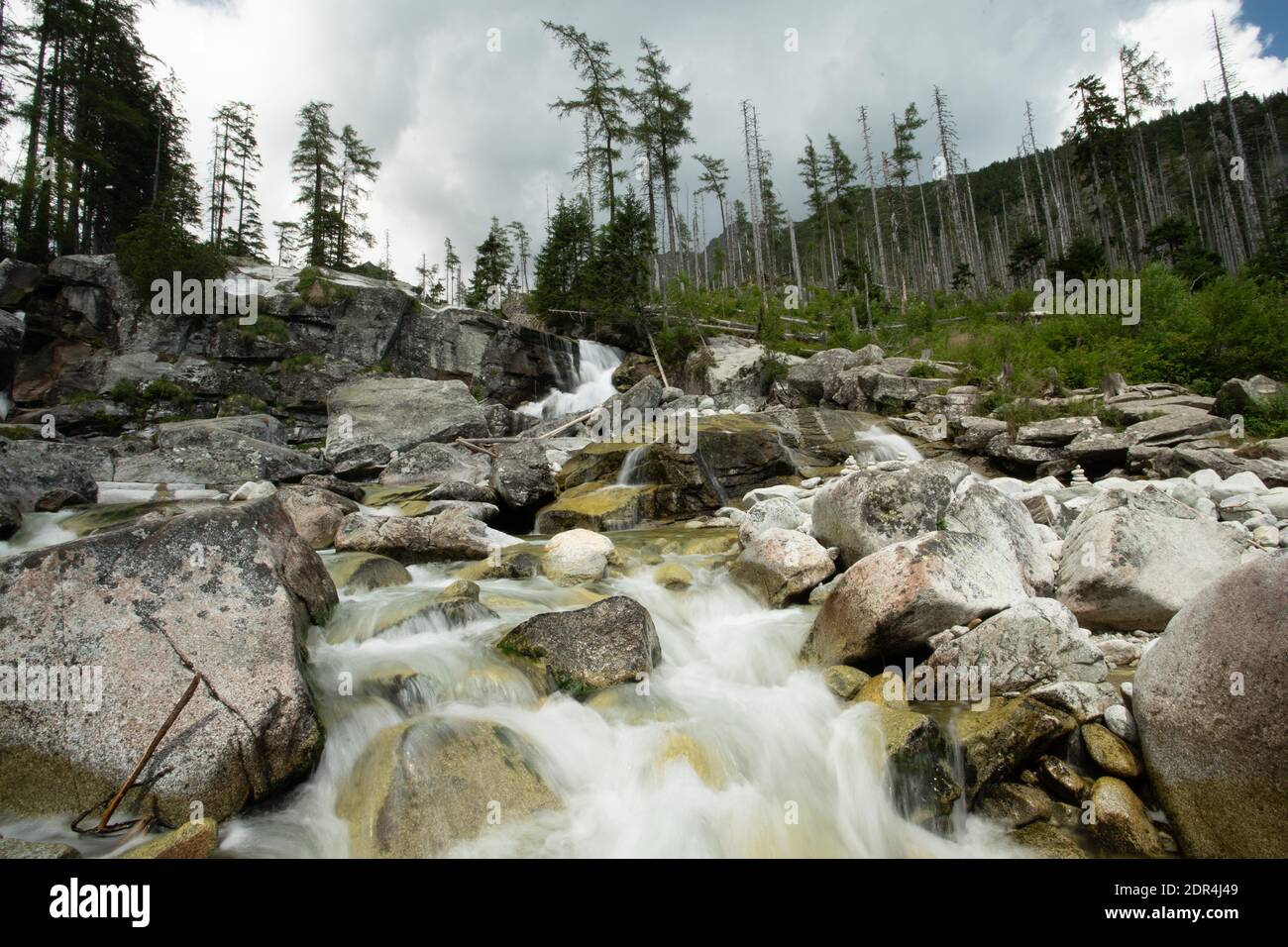 Cascades de Cold Stream dans la Grande Vallée froide à High Tatras, Slovaquie. Ciel nuageux. Banque D'Images