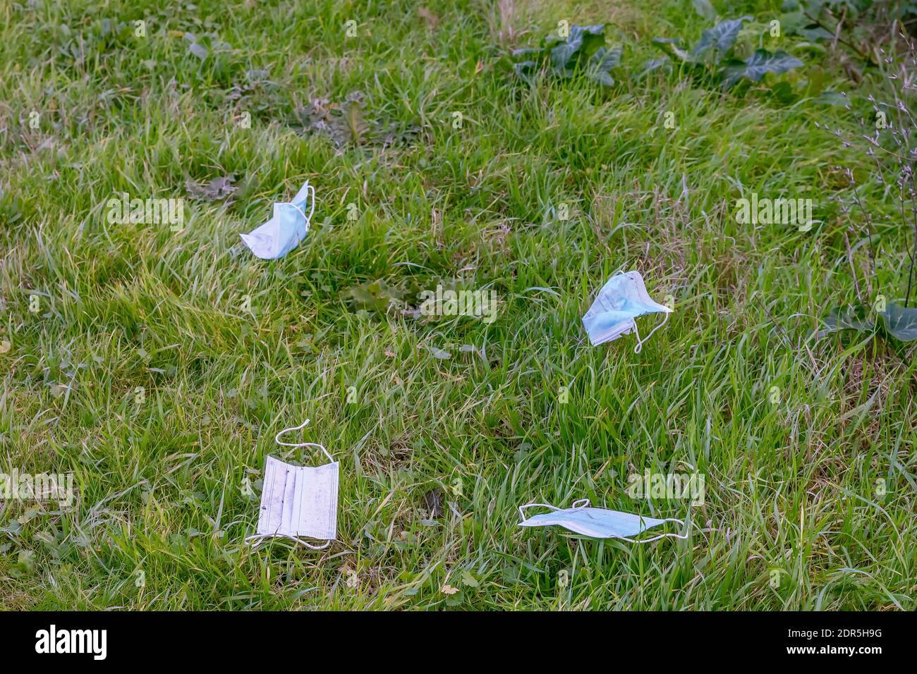 Les masques chirurgicaux pour protéger le visage du risque de contagion du coronavirus Covid-19 sont abandonnés par nature par des personnes non civilisées, avec un grand risque Banque D'Images