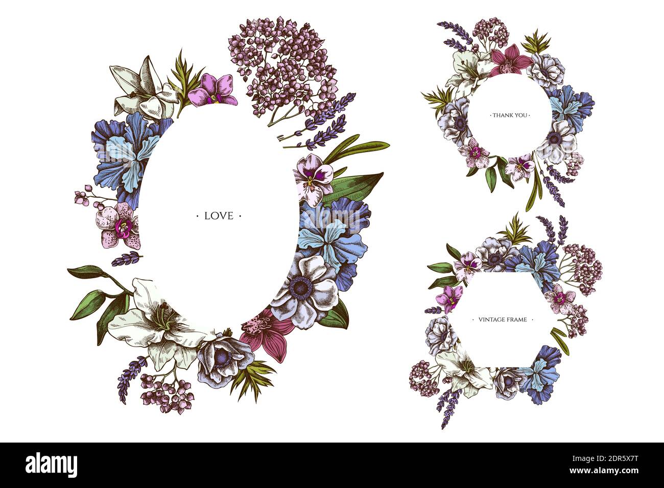 Cadres floraux avec anémone colorée, lavande, romarin éternel, phalaenopsis, lis, iris Illustration de Vecteur
