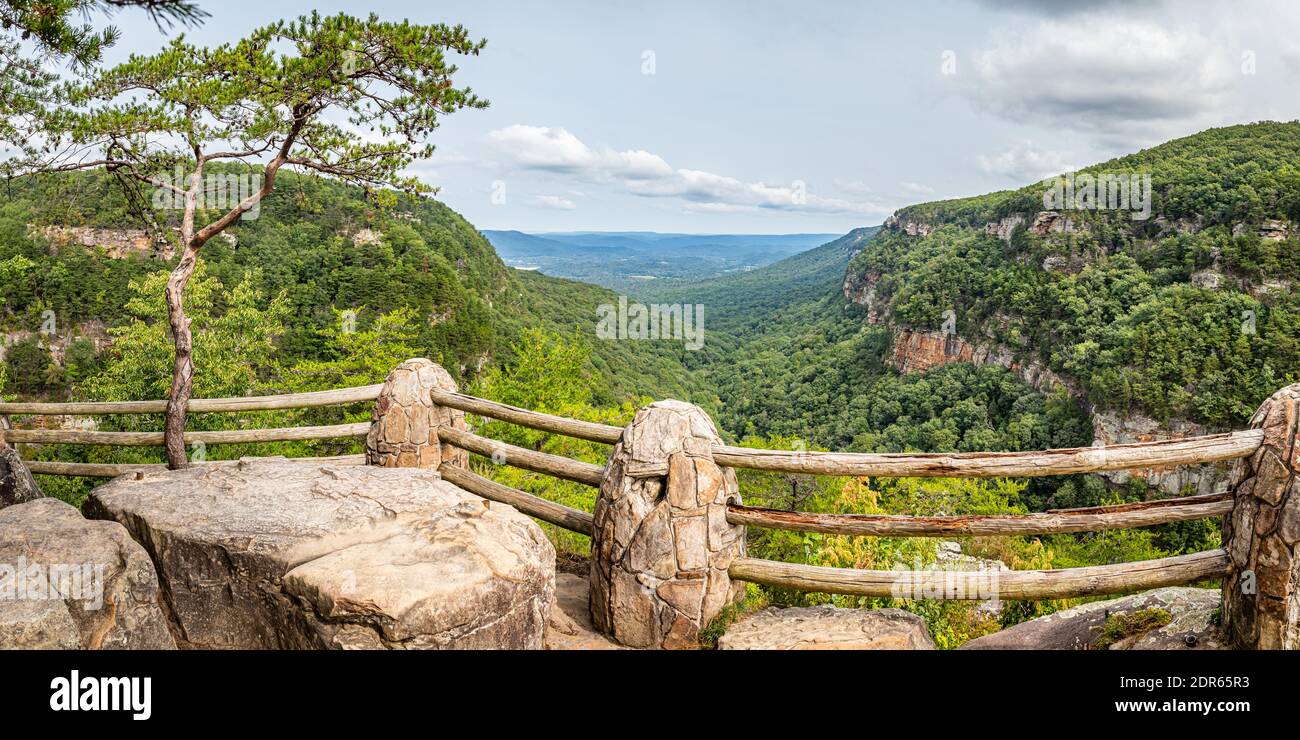 Vue sur le parc national de Cloudland Canyon au sud de Lookout Mountain, Géorgie près de Chattanooga, Tennessee. Banque D'Images