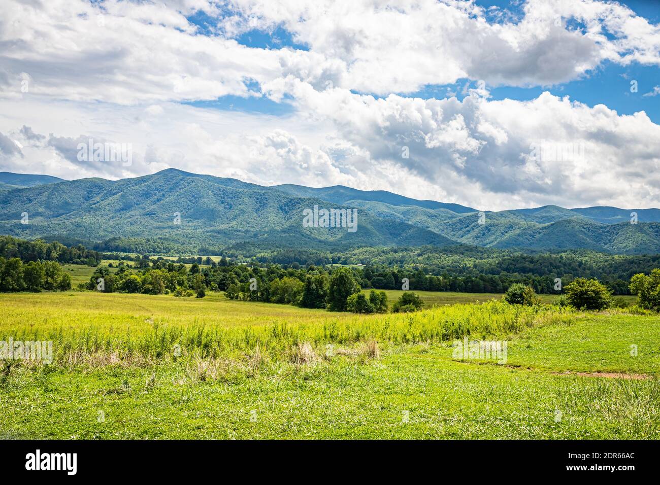Vue depuis la route panoramique de Cades Cove, une destination populaire dans le parc national des Great Smoky Mountains, près de Gatlinburg, Tennessee. Banque D'Images