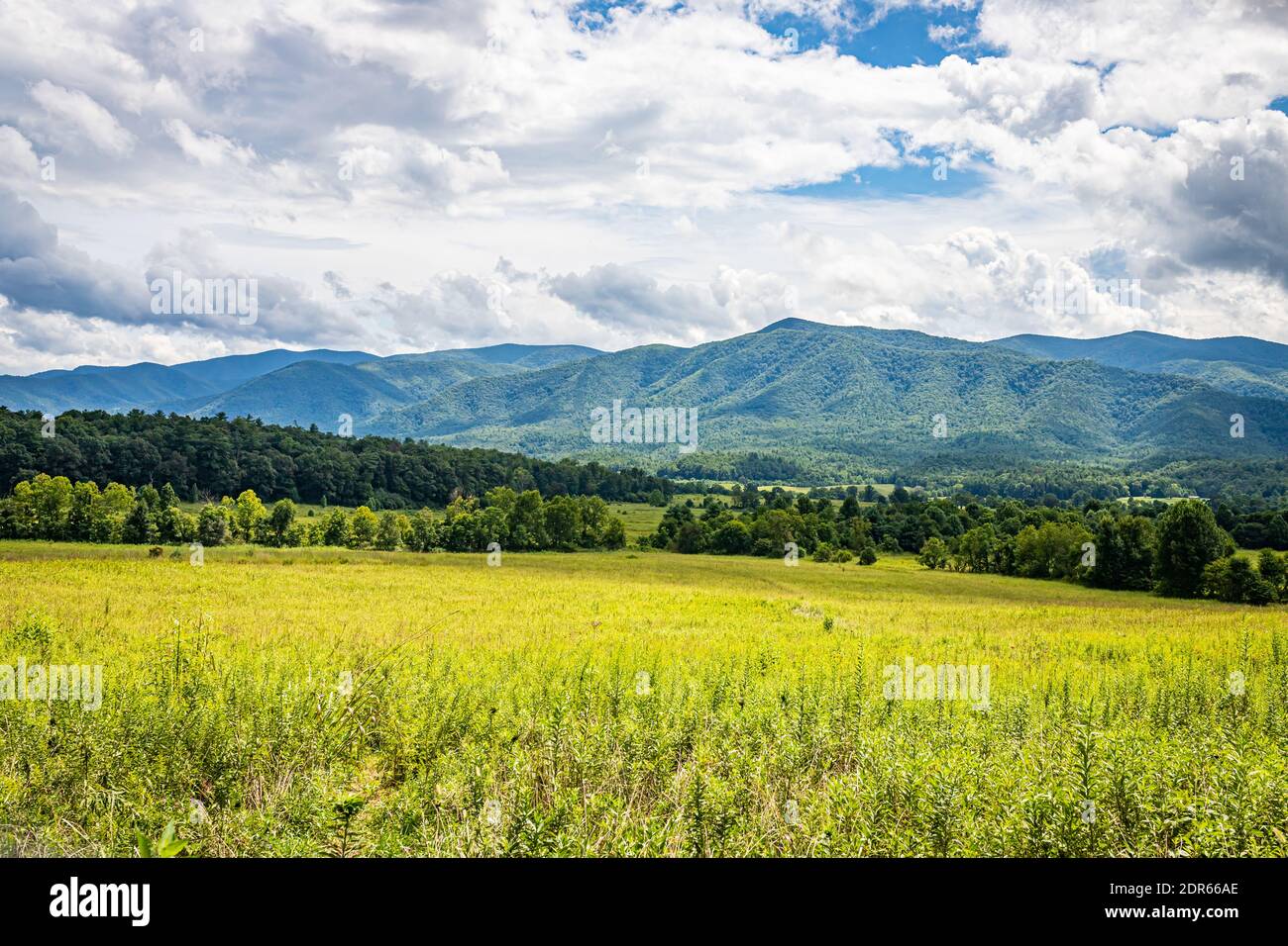 Vue depuis la route panoramique de Cades Cove, une destination populaire dans le parc national des Great Smoky Mountains, près de Gatlinburg, Tennessee. Banque D'Images