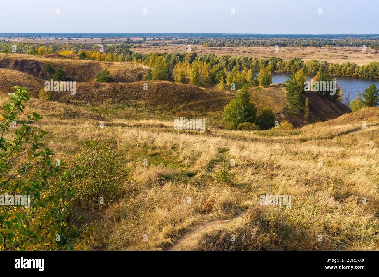 Paysage d'automne avec des arbres, des collines et une rivière. Vue russe typique dans les riches couleurs dorées et vertes. Banque D'Images