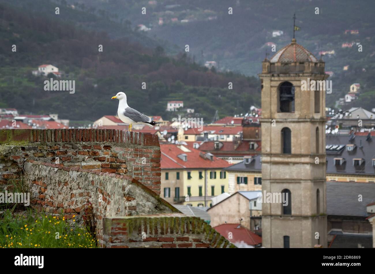 Un moulus sur un mur de la forteresse de Priamar avec une vue floue de Savona en arrière-plan, l'Italie. Banque D'Images