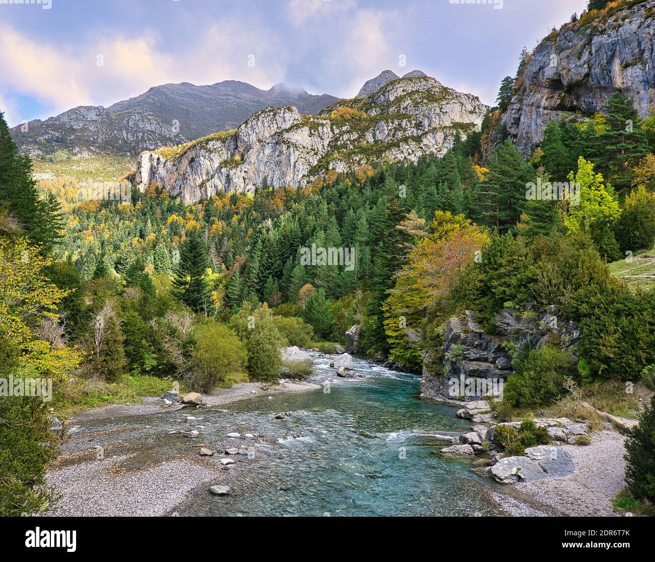 rivière dans une forêt au pied de la montagne par temps nuageux Banque D'Images