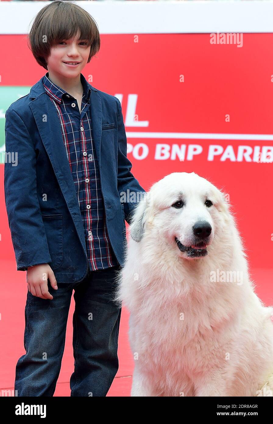 L'acteur français Felix Bossuet et le chien Belle assistent à la première  du film « Belle & Sebastien, l'aventure continue » (Belle et Sébastien  l'aventure continue) au 10e Festival du film de