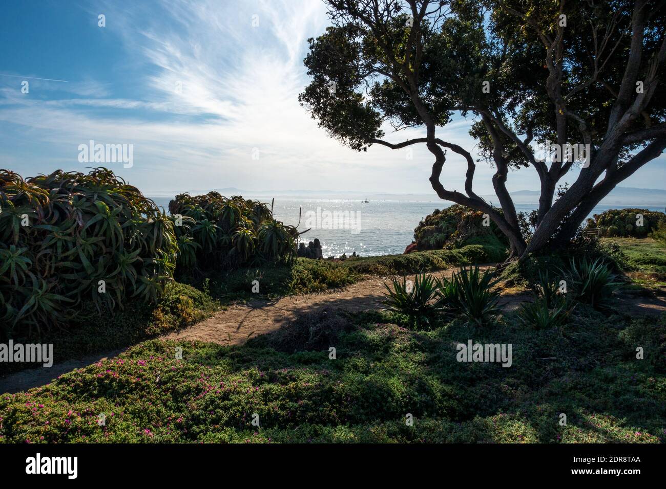 Perkins Park à Pacific Grove, Californie, sur la baie de Monterey, avec des bateaux calamars au loin. Banque D'Images