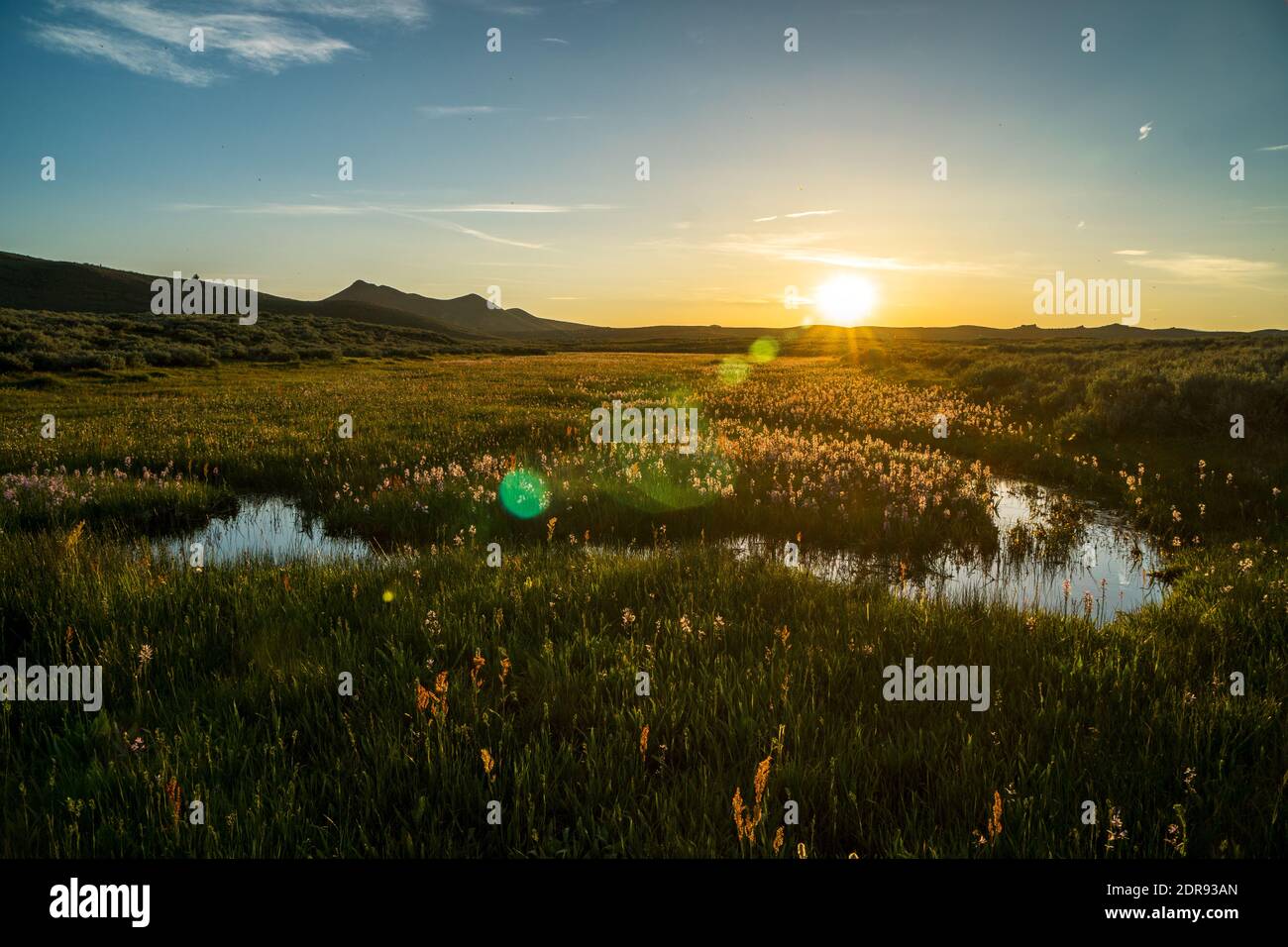 Coucher de soleil au marais du centenaire de Camas Prairie près de Fairfield, Idaho Banque D'Images