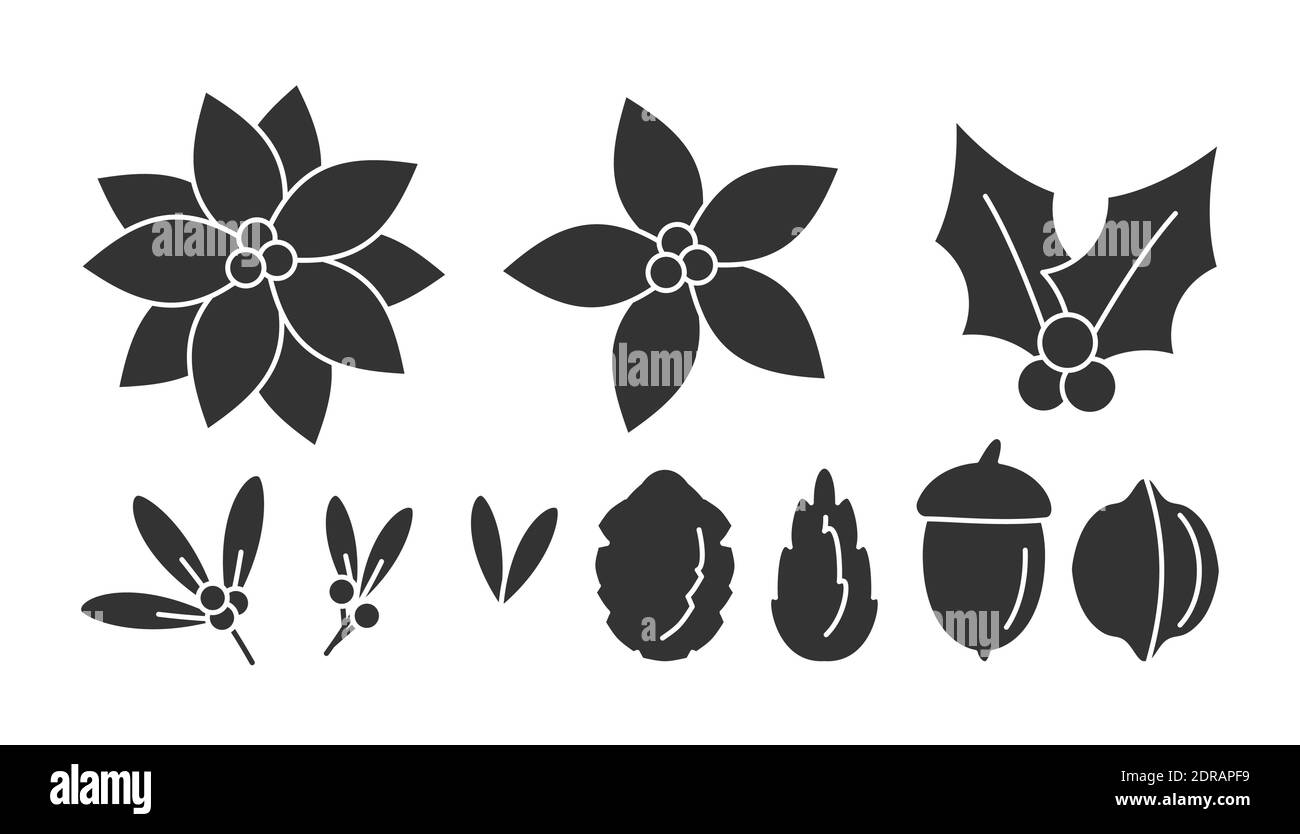 Ensemble de fleurs de Noël poinsettia, corne, cônes, GUI. Modèles linéaires baies d'hiver, feuilles. Fête du nouvel an avec symbole floral traditionnel. Éléments de décoration. Isolé sur une illustration vectorielle blanche Illustration de Vecteur