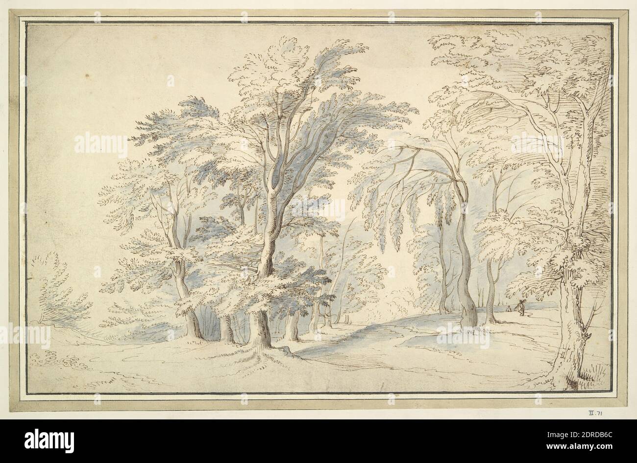 Bois Paysage, encre de plume et marron et bleu et gris laver sur dessin préliminaire en craie noire, feuille: 20.4 × 32.4 cm (8 1/16 × 12 3/4 in.), fait en Flandre, Flamand, 17ème siècle, oeuvres sur papier - dessins et aquarelles Banque D'Images