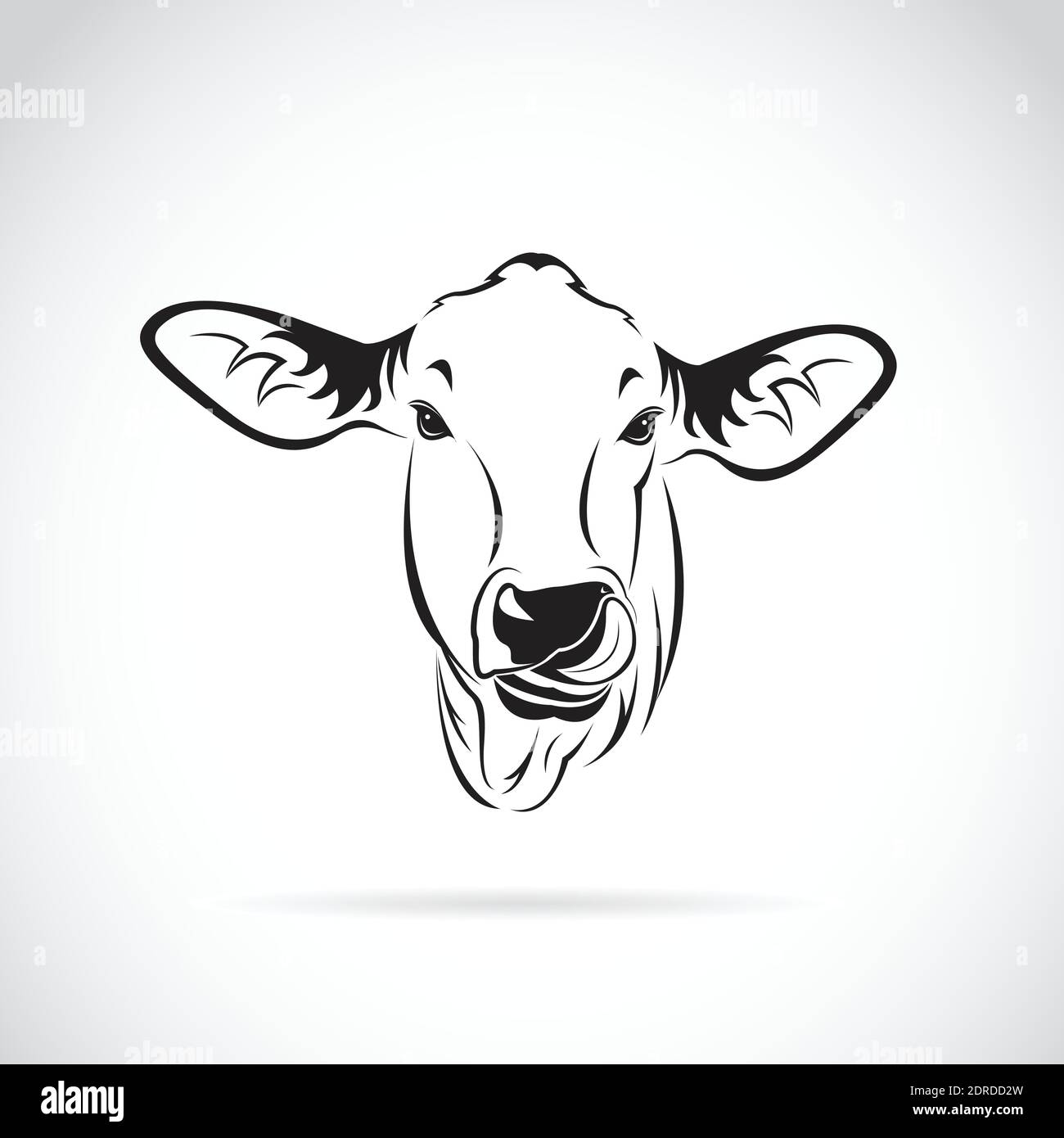 Vecteur d'une tête de vache sur fond blanc., Calf. Illustration vectorielle superposée facile à modifier. Animal de ferme. Illustration de Vecteur