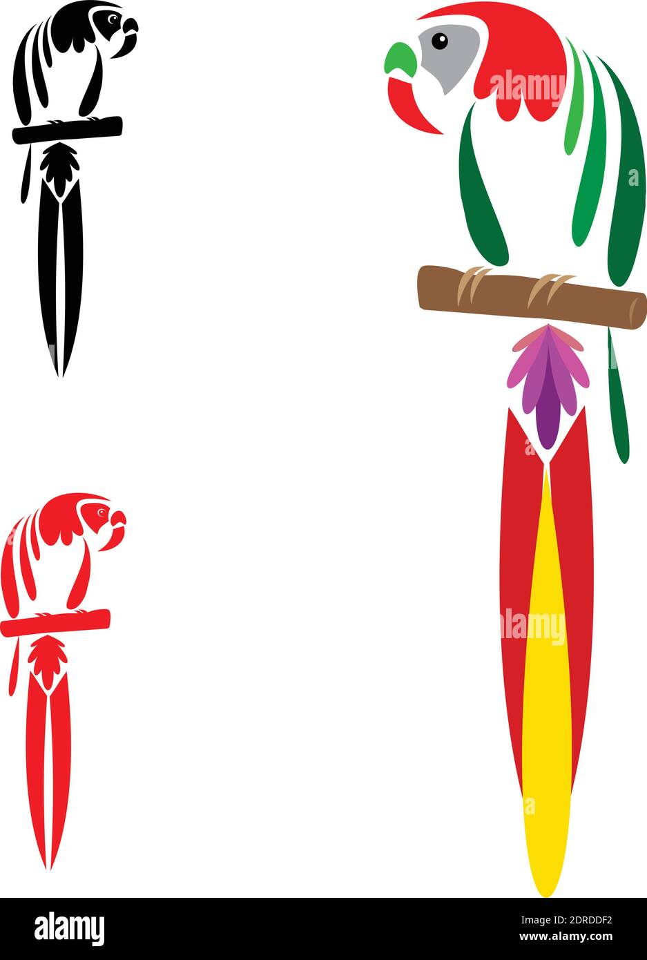 Vecteur de perroquet sur fond blanc. Illustration vectorielle superposée facile à modifier. Animaux sauvages. Icônes d'oiseaux. Illustration de Vecteur