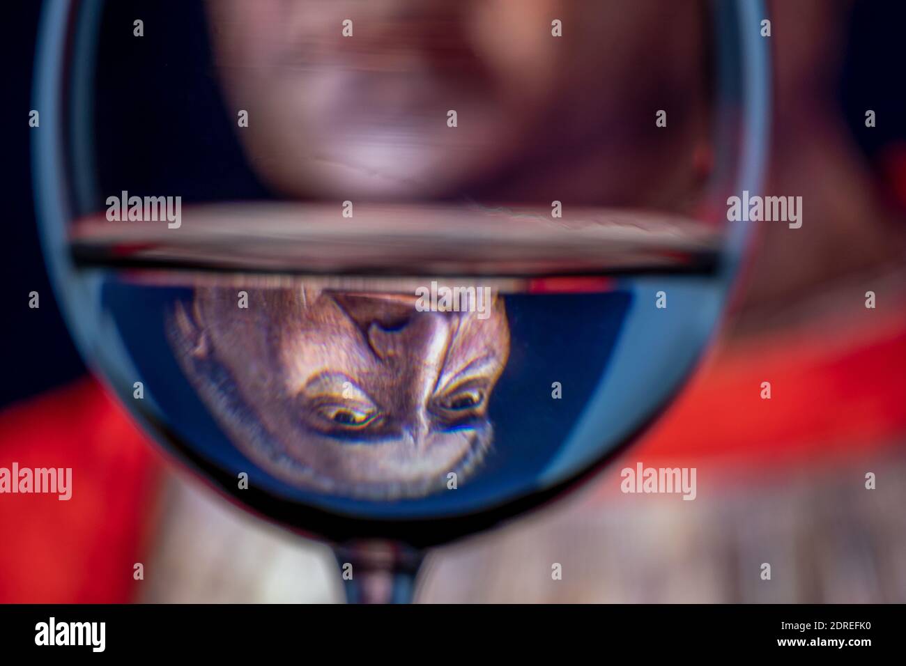 Réflexion inversée dans le gobelet de l'eau du classique Portrait du Cardinal Ludovico Trévise créé par l'artiste italien Andrea Mantegna en 1459 Banque D'Images