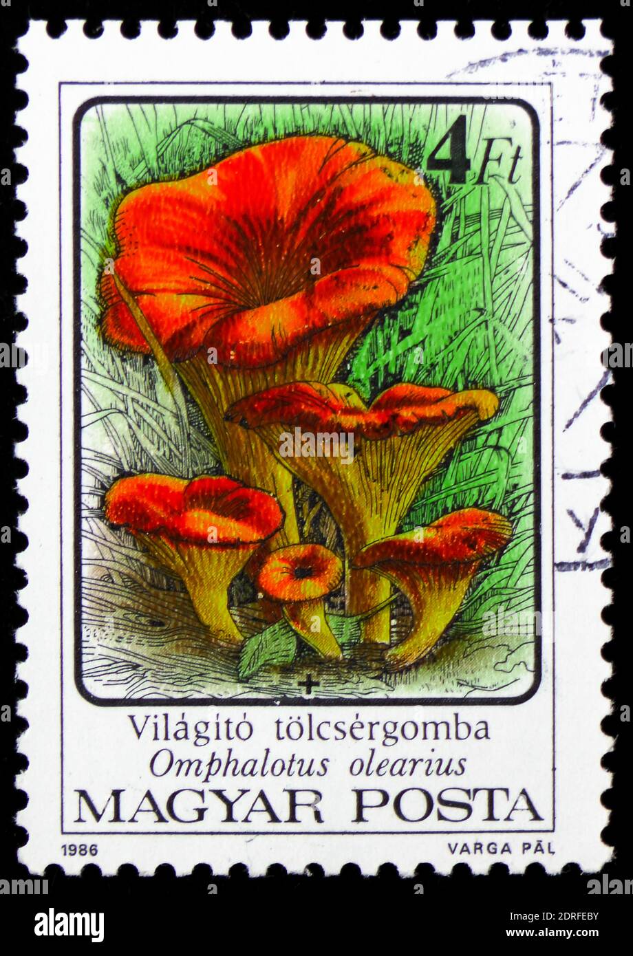 MOSCOU, RUSSIE - 4 JANVIER 2019 : un timbre imprimé en Hongrie montre Omphalotus olearius, série de champignons, vers 1986 Banque D'Images