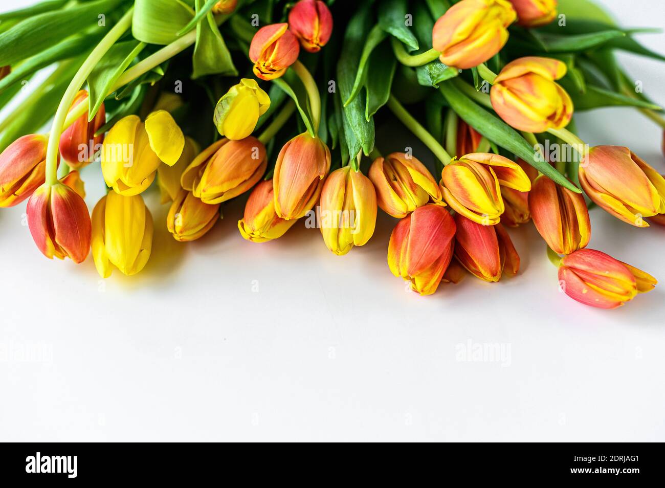 Jolie Carte De Vœux Avec Tulipes Pour Le Jour Des Meres Le Mariage Ou L Evenement Heureux Arriere Plan Blanc Vue De Dessus Copier L Espace Photo Stock Alamy