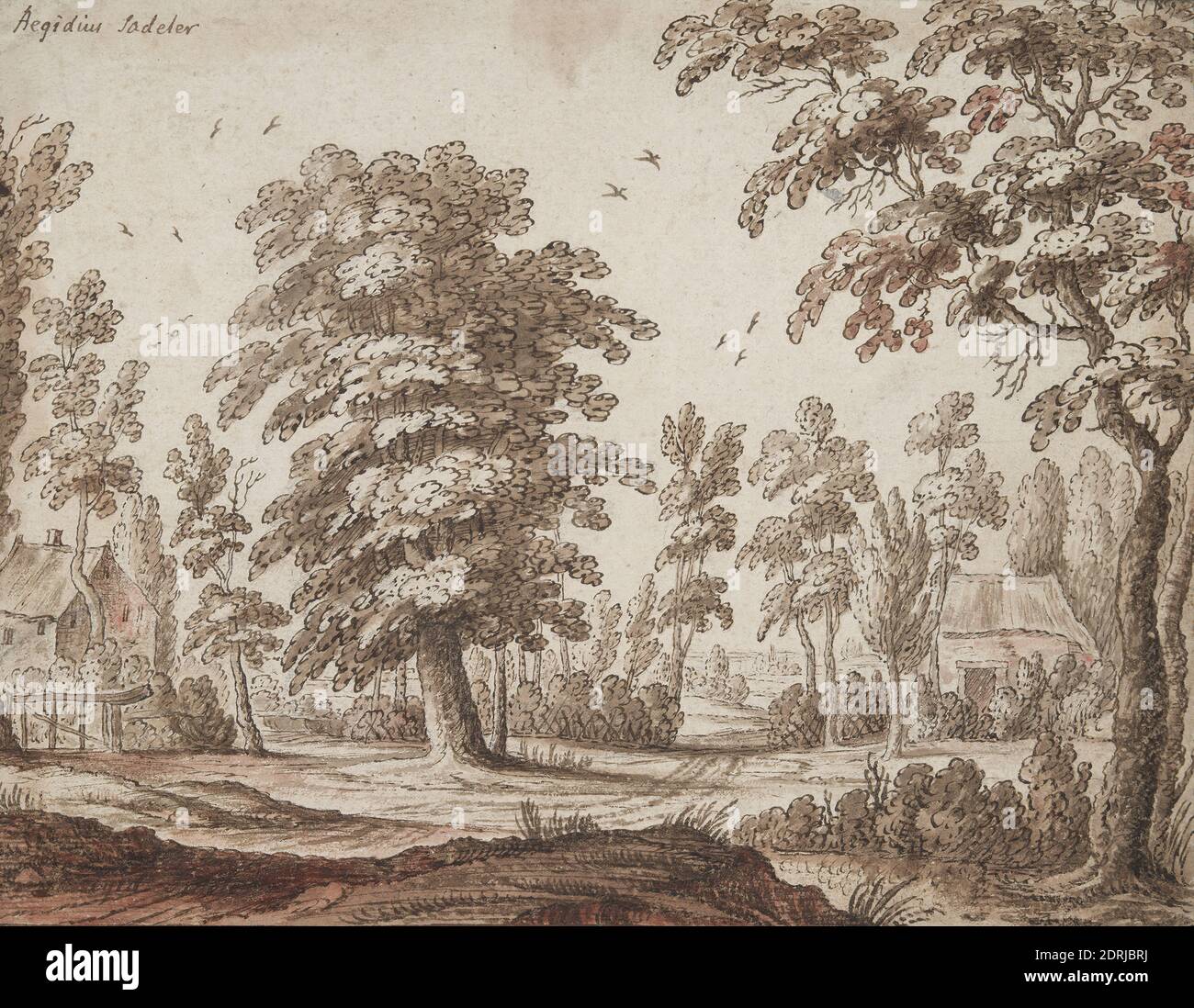 Artiste, attribué à: Hendrik Hondius I, néerlandais, 1573–1650, arbres et deux cottages, XVIIe siècle, encre stylo et brune et lavage brun et rouge, feuille: 14.4 × 18.7 cm (5 11/16 × 7 3/8 in.), fait en Flandre, flamande, XVIIe siècle, oeuvres sur papier - dessins et aquarelles Banque D'Images