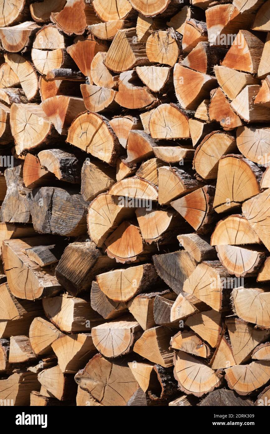 Société Barraquand à Saint-Jean-en-Royans, spécialisée dans l'exploitation forestière, le commerce de tous types de bois et de bois de chauffage. Stockage du bois coupé Banque D'Images