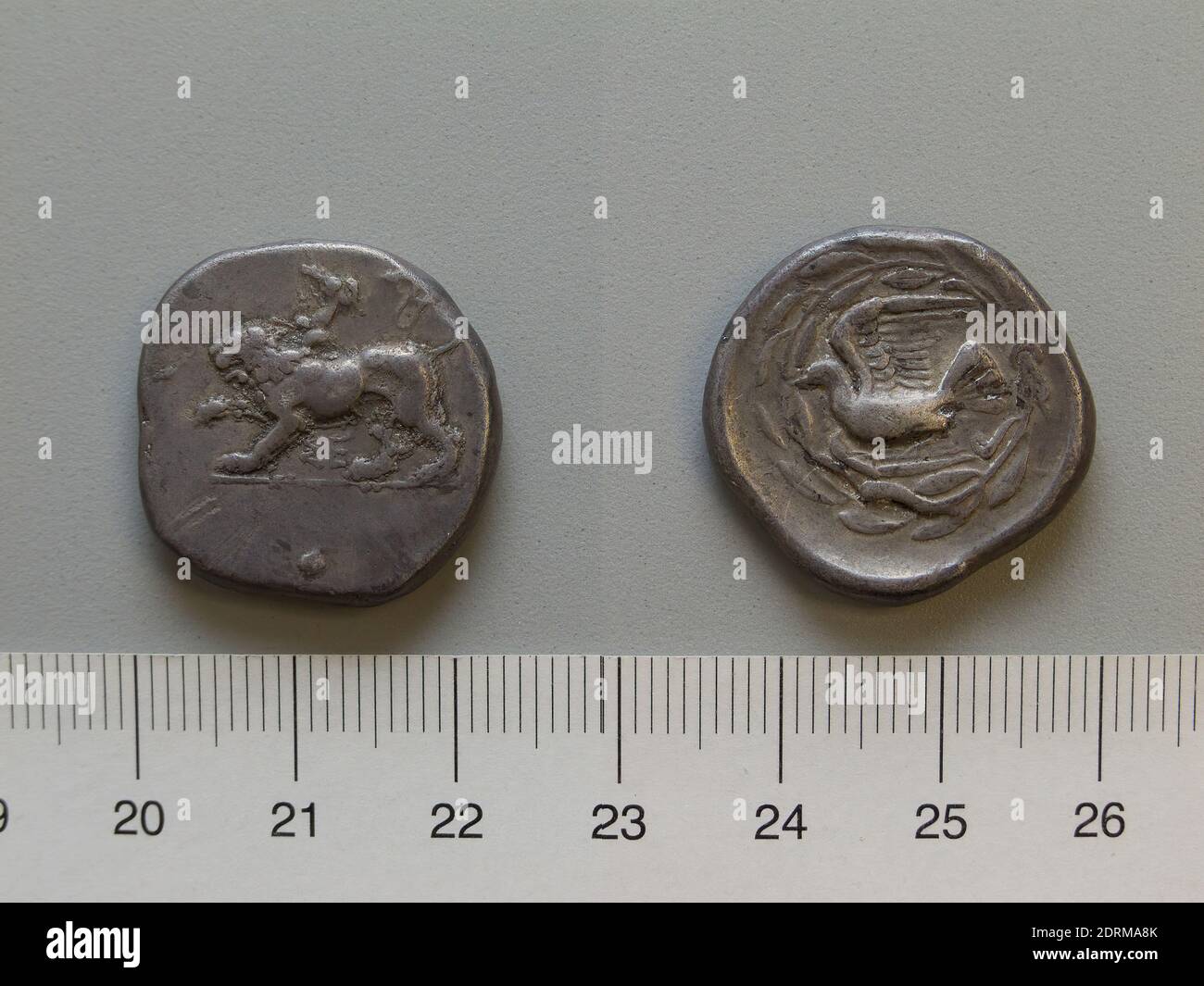 Menthe: Sicyon, pièce de Sicyon, 4e siècle av. J.-C., argent, 12.04 g, 10:00, 24. Mm, fabriqué en Sicyon, Sicyonia, grec, 4e siècle av. J.-C., Numismatique Banque D'Images Menthe: Sicyon, pièce de Sicyon, 4e siècle av. J.-C., argent, 12.04 g, 10:00, 24. Mm, fabriqué en Sicyon, Sicyonia, grec, 4e siècle av. J.-C., Numismatique Banque D'Images