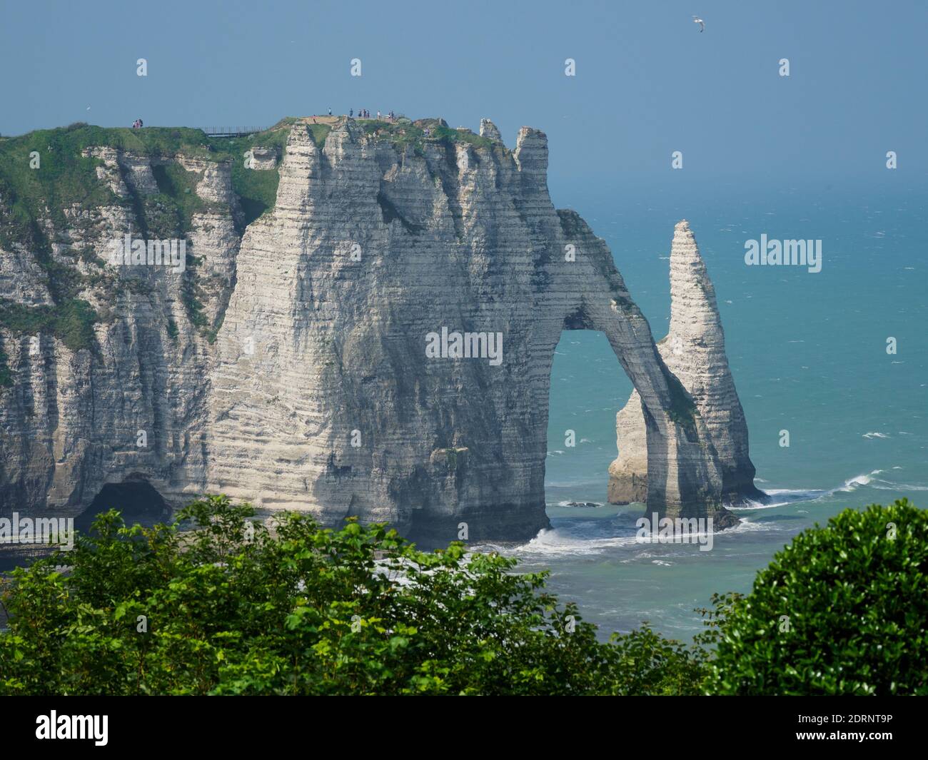 Les Jardins d’Etretat est un jardin néo-futuriste qui s’étend sur les falaises de la côte d’Alabâtre, en Normandie, en France Banque D'Images