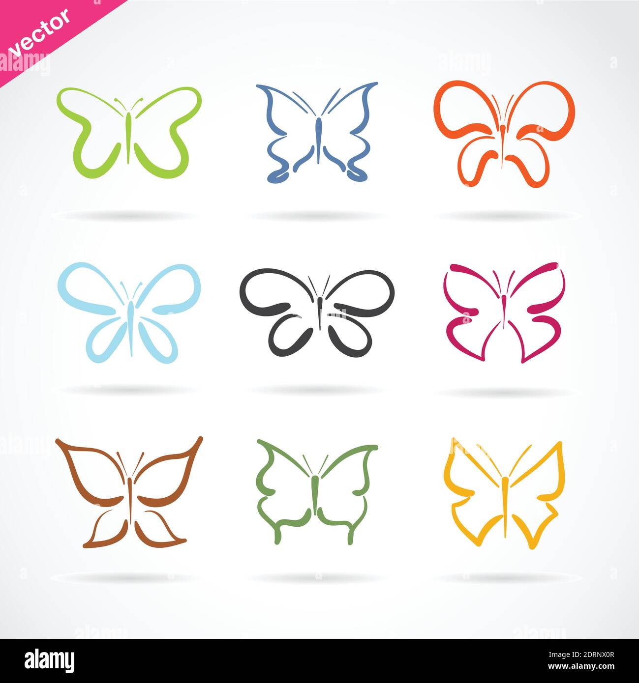 Groupe vectoriel de papillons dessinés à la main sur fond blanc. Icône papillon. Insecte. Animal. Illustration vectorielle superposée facile à modifier. Illustration de Vecteur