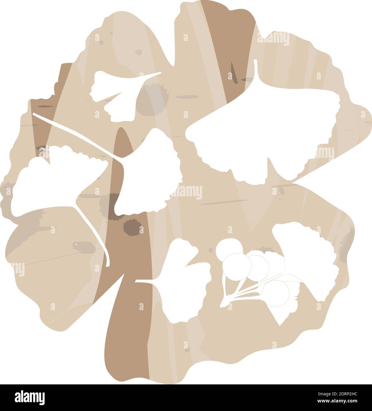 Ensemble de feuilles de Ginkgo biloba. Silhouettes vectorielles réalistes isolées sur fond peint marron. Illustration botanique. SPE 10 Illustration de Vecteur