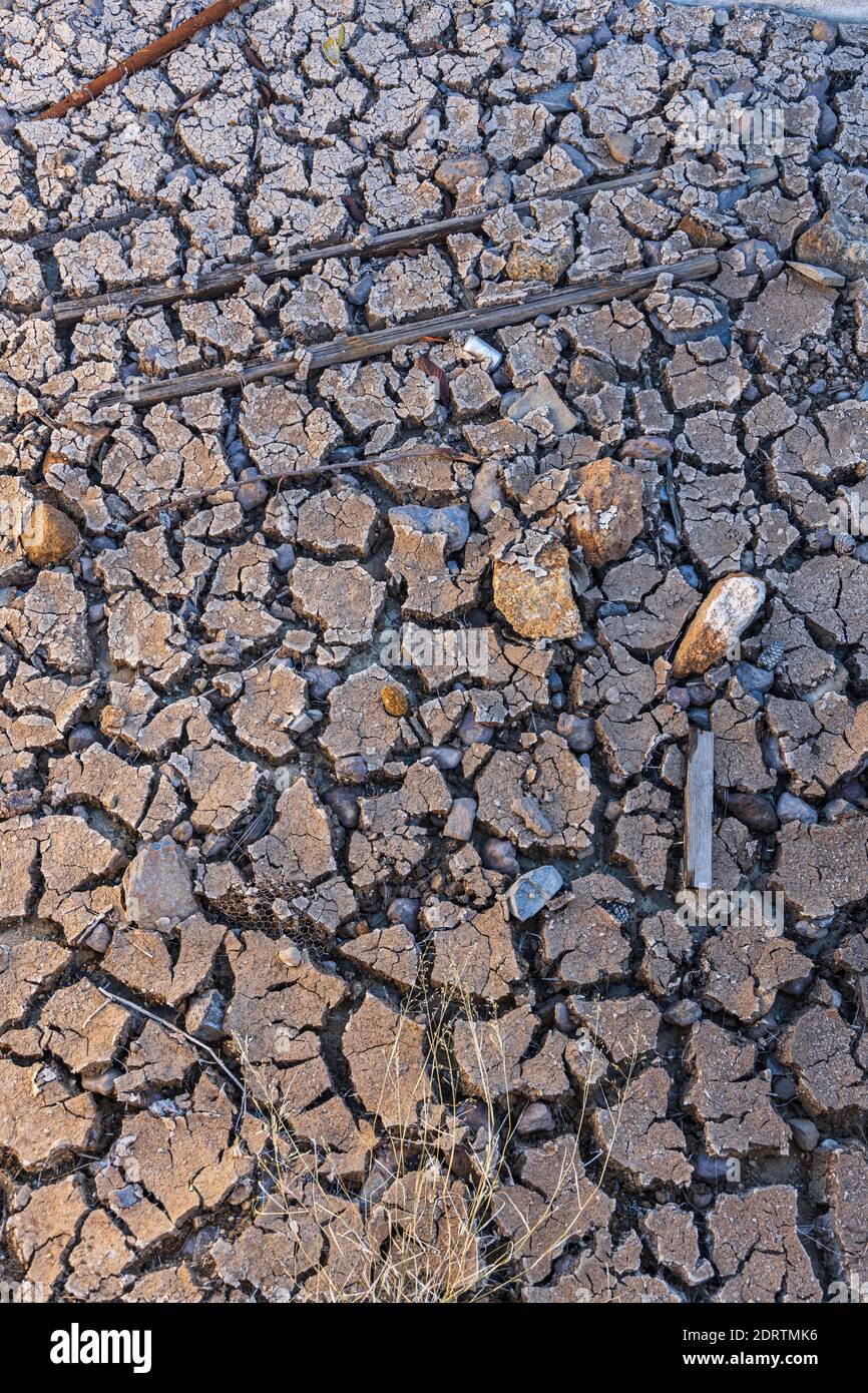 Boue séchée et fissurée avec des bâtons et des pierres près de Las Vegas, Ténérife, îles Canaries, Espagne Banque D'Images