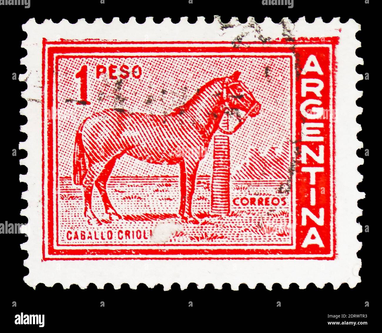 MOSCOU, RUSSIE - 10 FÉVRIER 2019 : un timbre imprimé en Argentine montre le cheval (Equus ferus caballus), la série personnalités et paysages, vers 1959 Banque D'Images