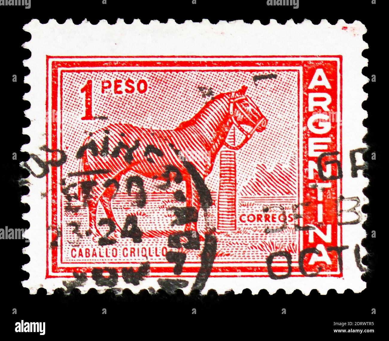 MOSCOU, RUSSIE - 10 FÉVRIER 2019 : un timbre imprimé en Argentine montre le cheval (Equus ferus caballus), la série personnalités et paysages, vers 1959 Banque D'Images