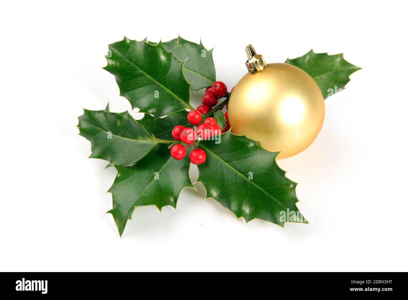 Décoration de Noël avec branche de houx et boule dorée. Photo isolée sur fond blanc Banque D'Images