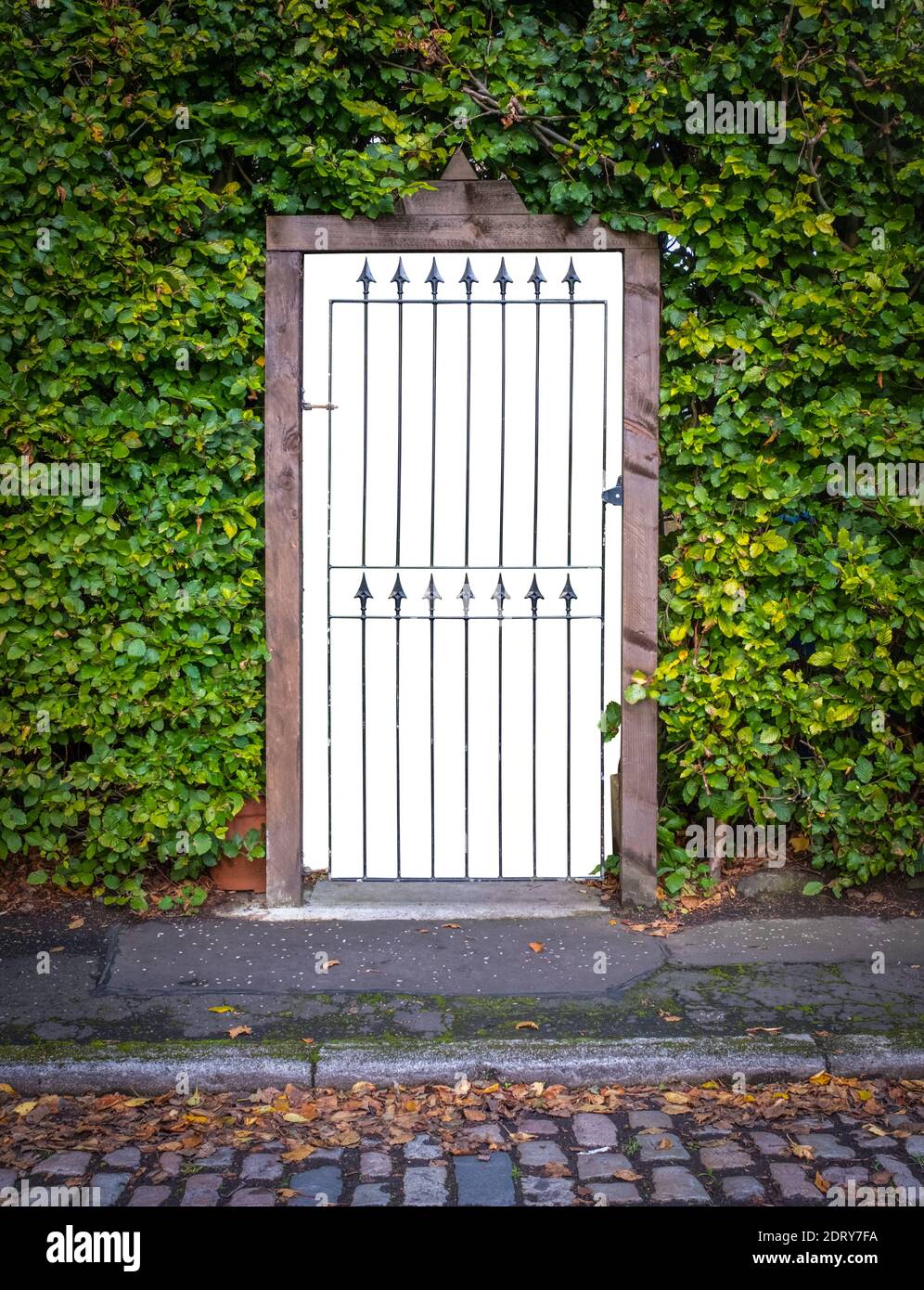 Une porte dans UNE haie à l'extérieur D'UNE maison de luxe, avec un arrière-plan isolé Banque D'Images