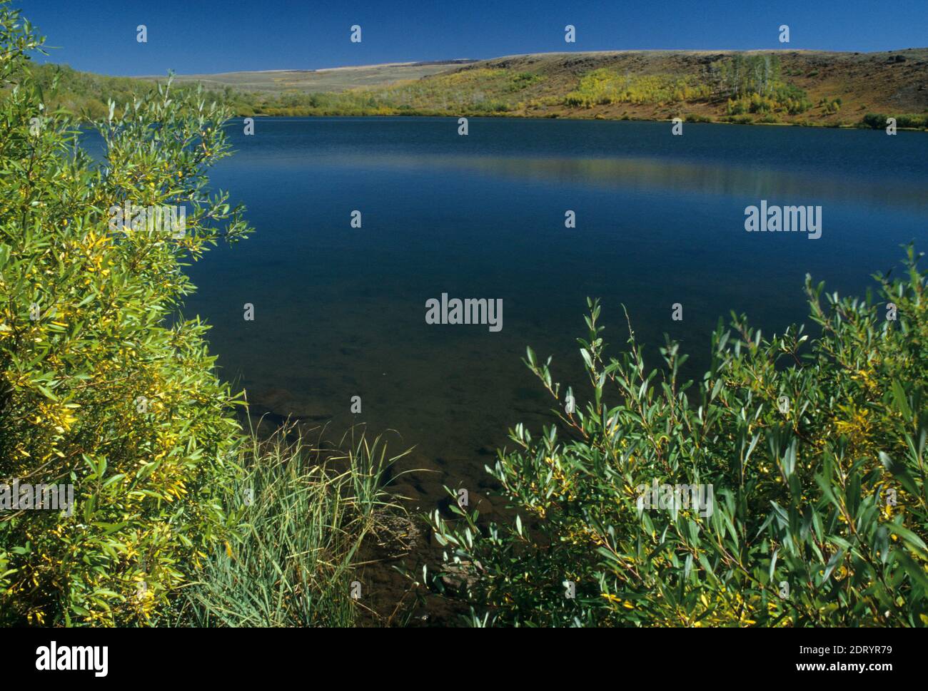 Fish Lake, zone de loisirs de Steens Mountain, Bureau de gestion des terres du district de Burns, Oregon Banque D'Images