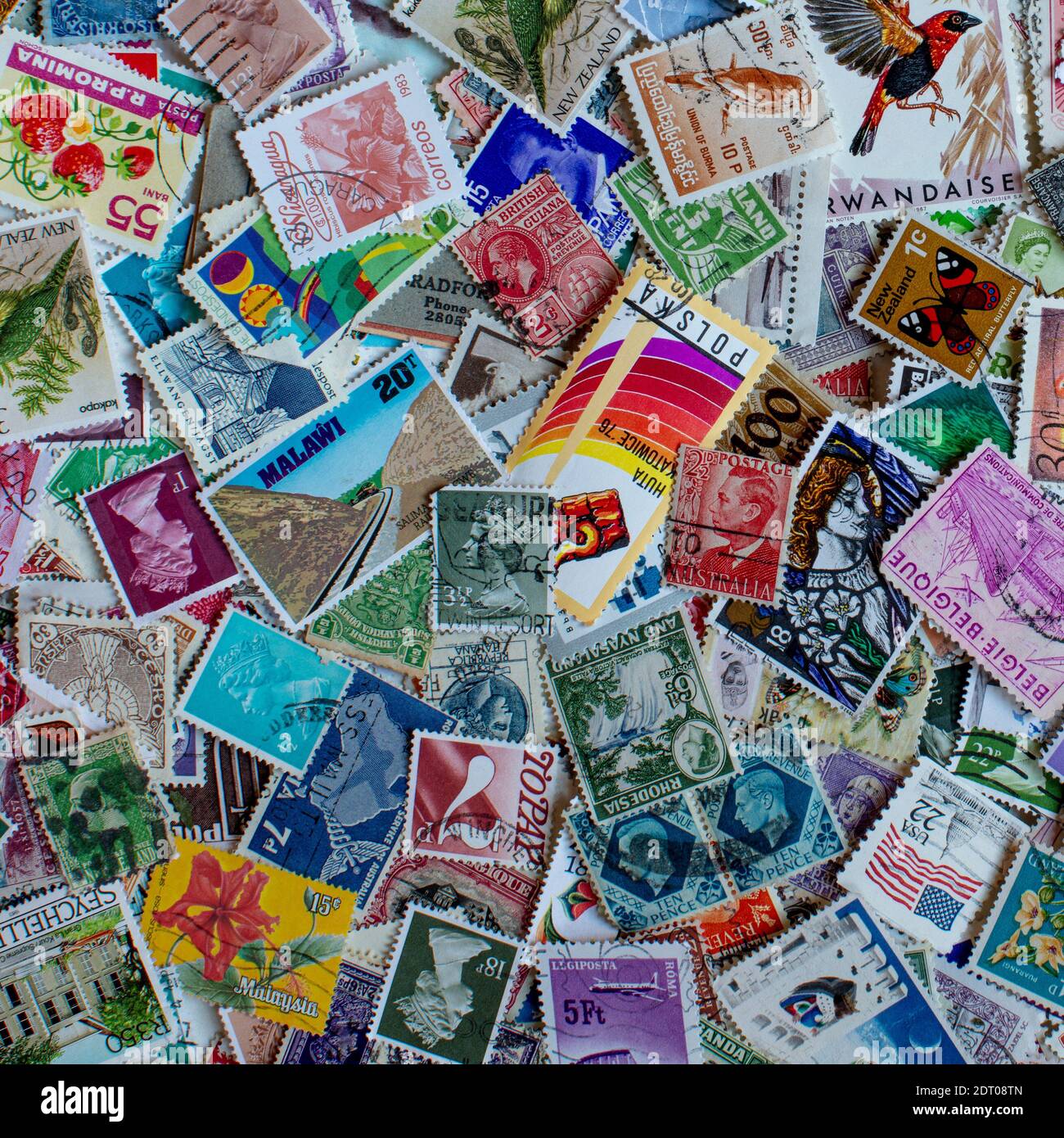 Affichage des timbres-poste internationaux/internationaux comme collection STILL-Life Banque D'Images