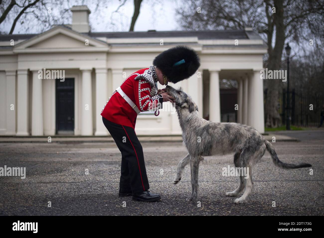 AP REVIEW OF THE YEAR 2020 - PA PHOTOGRAPHS FAVORITE IMAGES File photo daté du 10/12/20 de la nouvelle mascotte régimentaire des gardes irlandais, un wolfchrier irlandais appelé Turlough Mor, avec son nouveau maître de jeu, Adam Walsh, du 1er Bataillon des gardes irlandais, comme il est arrivé à Wellington Barracks à Londres. Sélectionnée par la photographe de Pennsylvanie Victoria Jones comme photo préférée de l'année. Banque D'Images