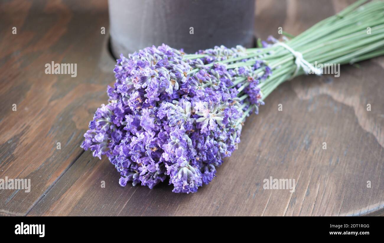 Bouquet ou bouquet de fleurs de lavande violette sur une table de texture en bois. Groupe de lavandula de la province de Furano Hokkaido Sapporo Japon. Photo ci-dessus. Banque D'Images