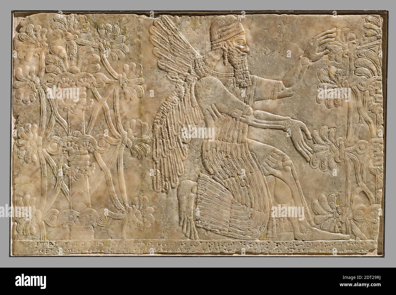 Relief: Arbre sacré (jointures 1854.4), 883–859 av. J.-C., albâtre gitséal, 79.8 × 43 cm (31 7/16 × 16 15/16 po.), Nimrud, Tigre, Assyrie, Irak, proche-Orient, Asie, proche-Orient, Assyrien, âge du fer, Assyrien, Sculpture Banque D'Images