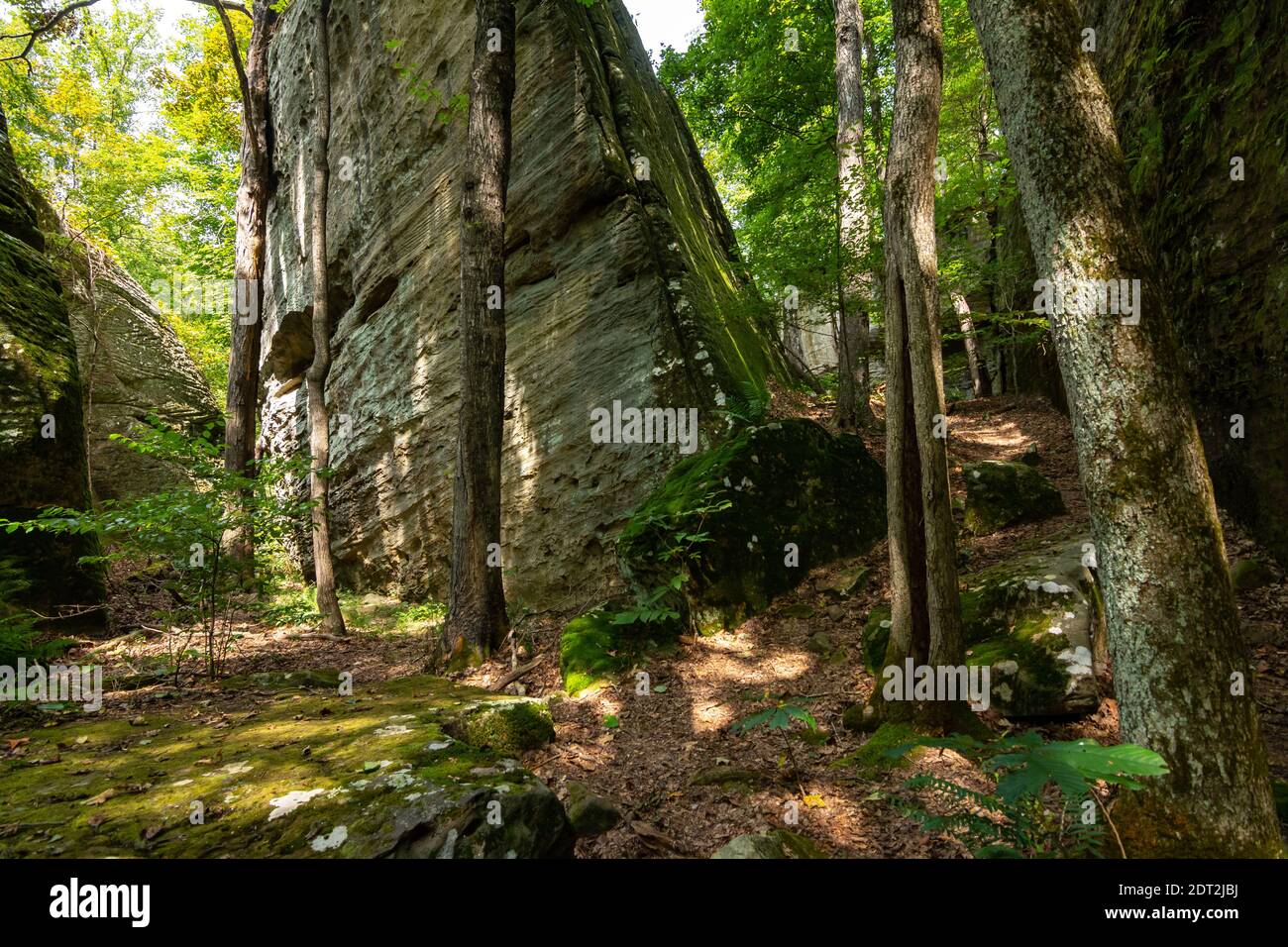 Formations rocheuses le long du ruisseau dans la région de Bell Smith Springs, dans la forêt nationale de Shawnee, dans le sud de l'Illinois. Banque D'Images