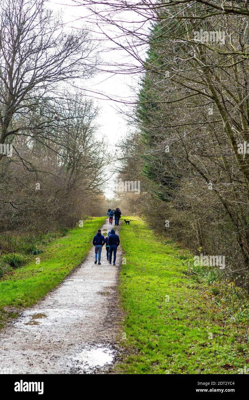 21 décembre 2020 - les personnes qui font de la randonnée à Maulden Wood, dans le Bedfordshire, au Royaume-Uni, le niveau de restriction du coronavirus est passé du niveau 3 au niveau 4 le week-end précédant Noël Banque D'Images