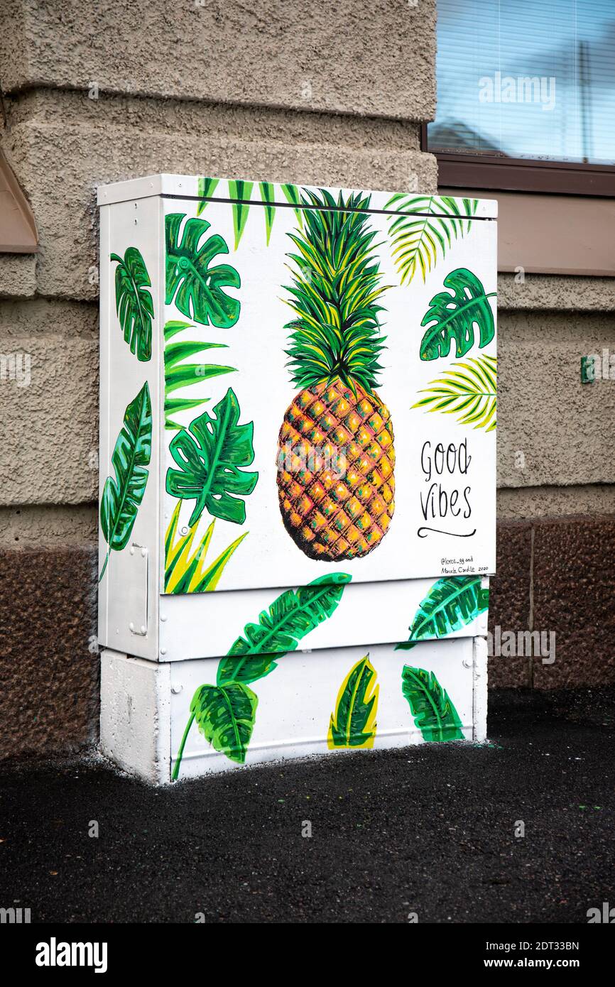 Bonnes vibes. Peinture murale ananas sur fermeture électrique dans le quartier de Tööölö à Helsinki, en Finlande Banque D'Images