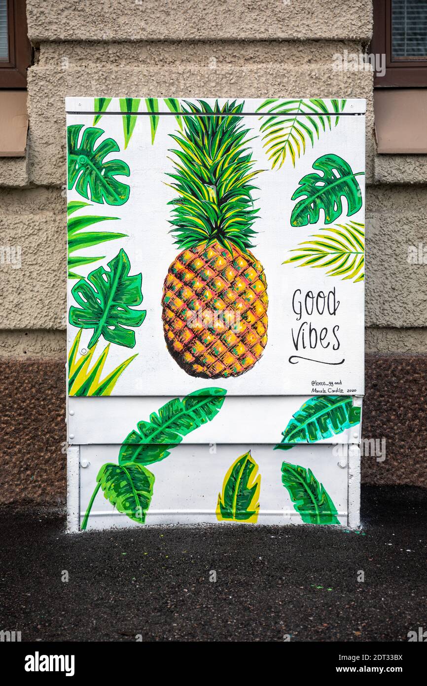 Bonnes vibes. Fresque à l'ananas sur l'armoire de rue dans le quartier de Tööölö à Helsinki, en Finlande. Banque D'Images