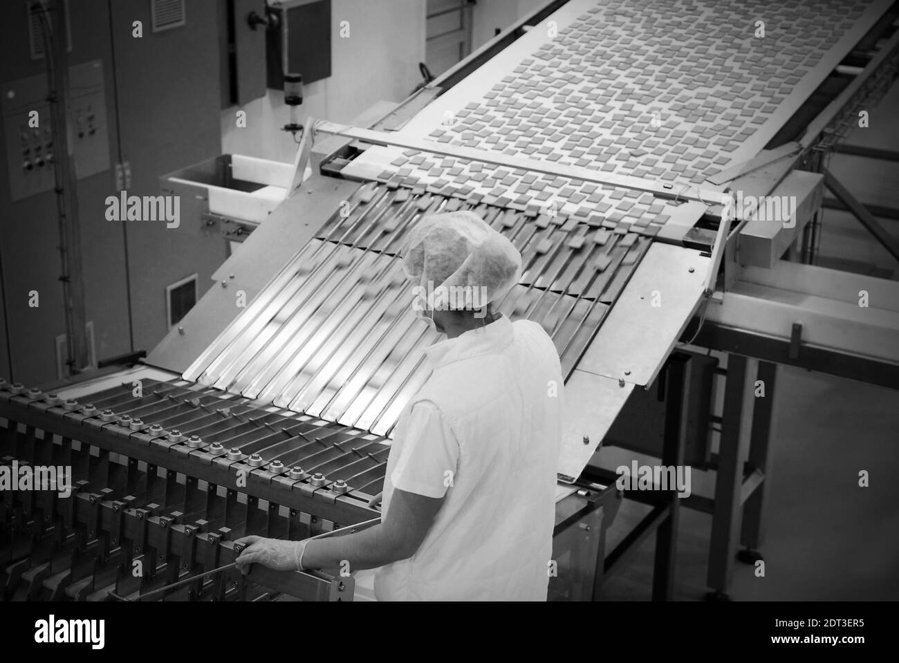Biscuit et waffle factory line production Banque D'Images