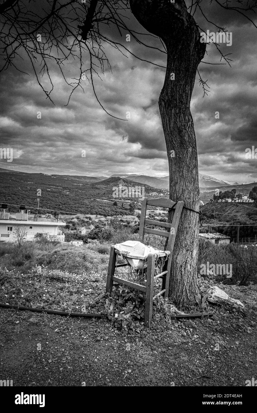 Vue d'un poste de pause vide près d'un arbre unique Banque D'Images
